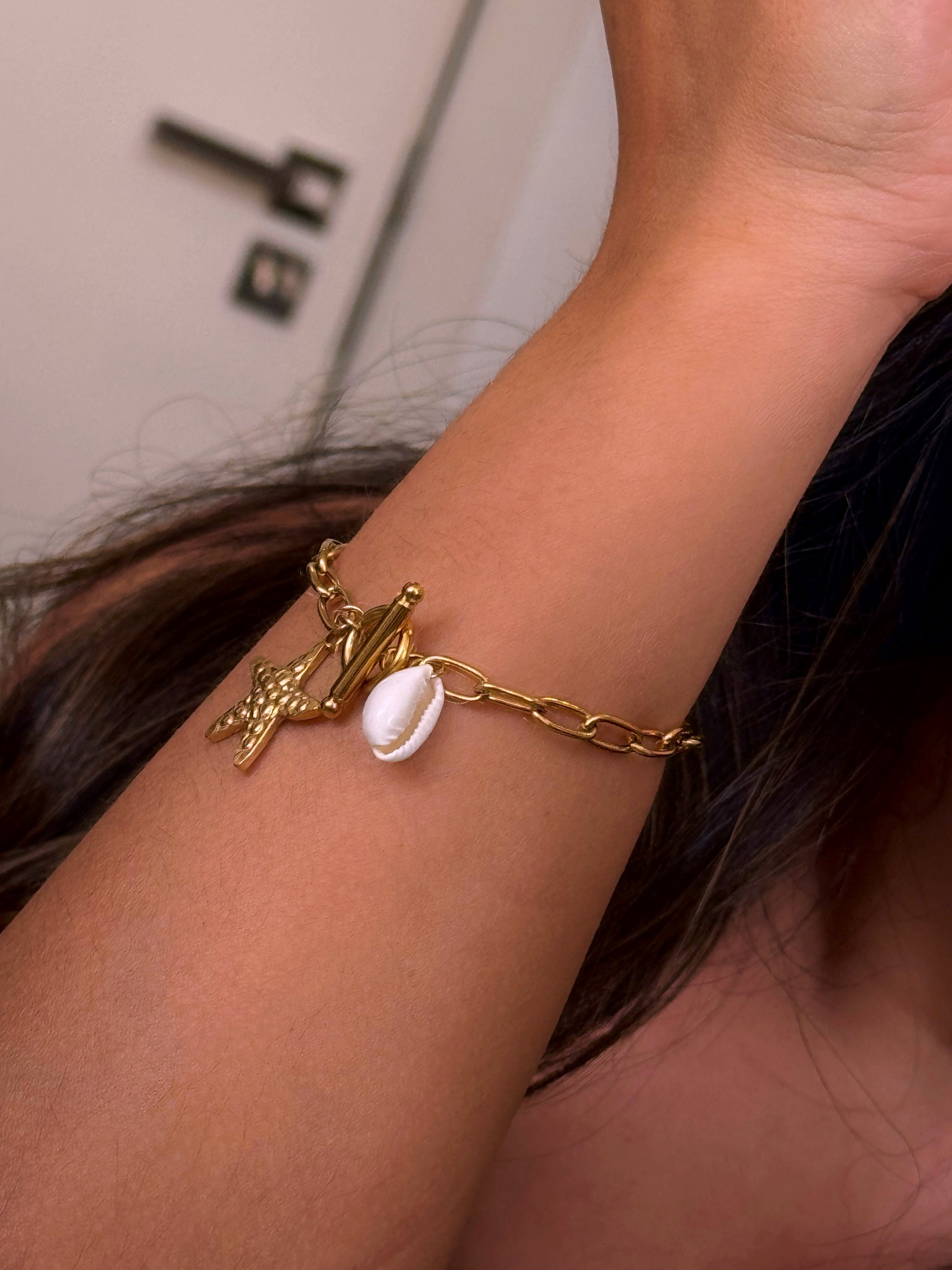 𝐄𝐝𝐢𝐜̧𝐚̃𝐨 𝐋𝐢𝐦𝐢𝐭𝐚𝐝𝐚 𝐕𝐞𝐫𝐚̃𝐨 🐚 Pulseira corrente com concha e estrela do mar | Dourado